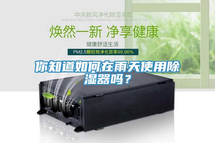 你知道如何在雨天使用除濕器嗎？