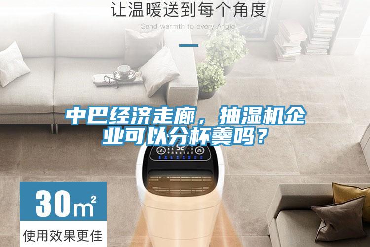 中巴經(jīng)濟(jì)走廊，抽濕機(jī)企業(yè)可以分杯羹嗎？