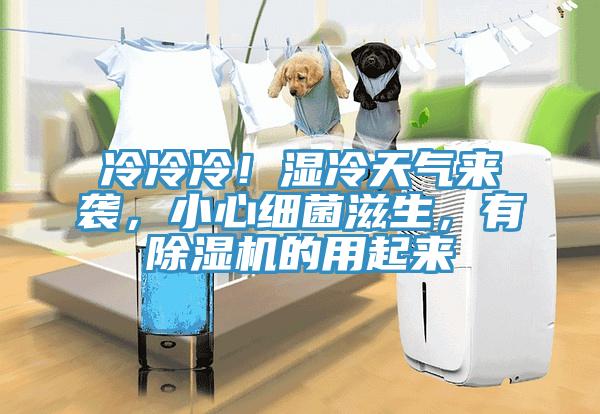 冷冷冷！濕冷天氣來(lái)襲，小心細(xì)菌滋生，有除濕機(jī)的用起來(lái)