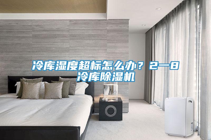 冷庫濕度超標(biāo)怎么辦？2一8℃冷庫除濕機(jī)