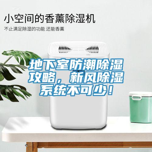 地下室防潮除濕攻略，新風(fēng)除濕系統(tǒng)不可少！