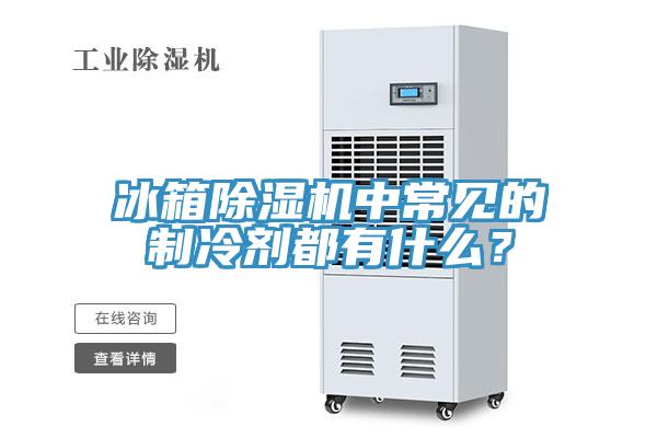 冰箱除濕機中常見的制冷劑都有什么？