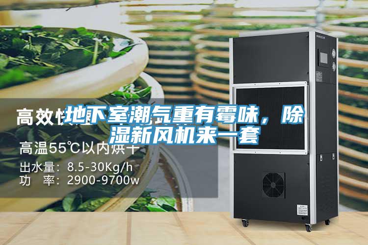 地下室潮氣重有霉味，除濕新風(fēng)機(jī)來一套