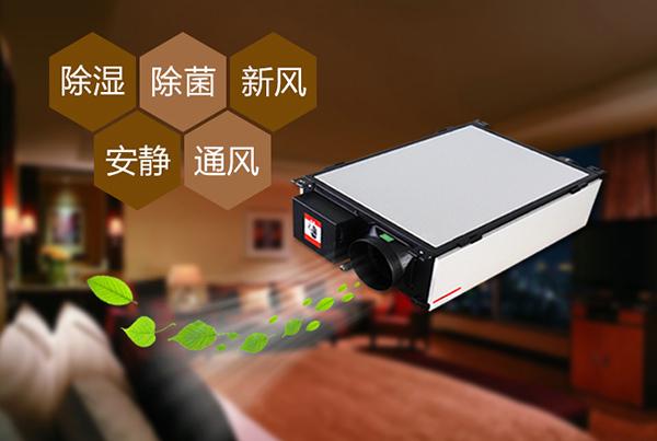 安詩曼除濕機更省心、省力