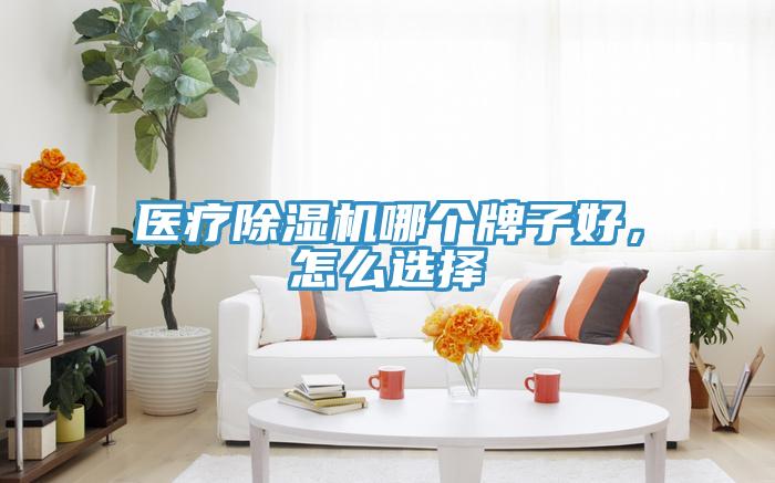 醫(yī)療除濕機哪個牌子好，怎么選擇