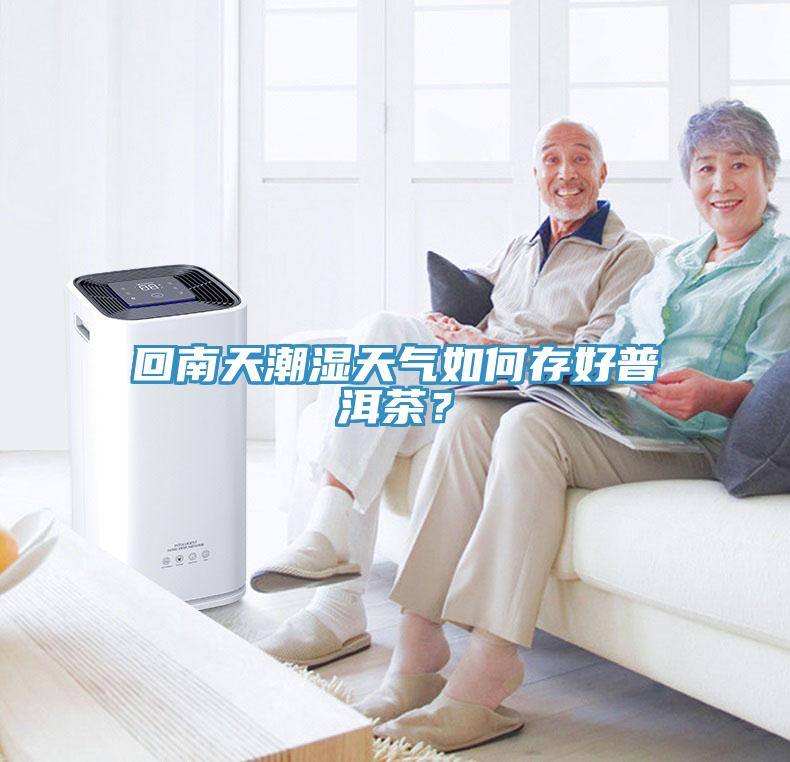 回南天潮濕天氣如何存好普洱茶？