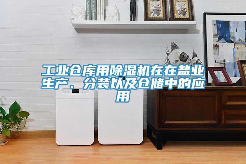 工業(yè)倉庫用除濕機在在鹽業(yè)生產(chǎn)、分裝以及倉儲中的應用