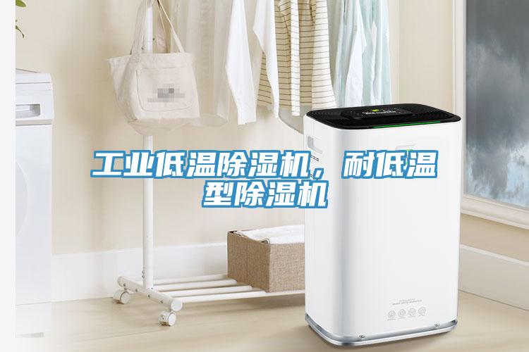 工業(yè)低溫除濕機，耐低溫型除濕機