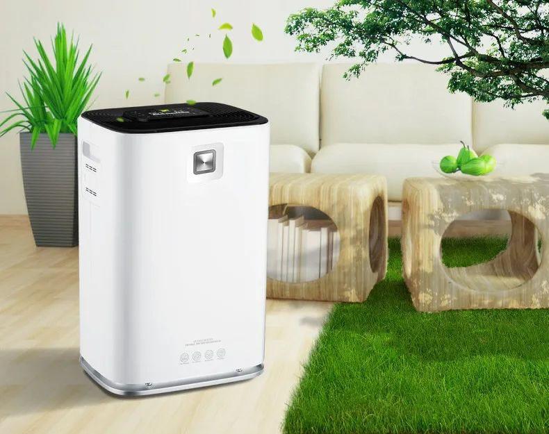 哪種除濕機好？常見除濕機類型詳解