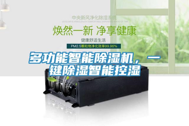 多功能智能除濕機(jī)，一鍵除濕智能控濕
