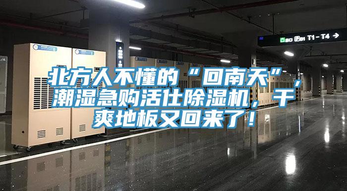 北方人不懂的“回南天”，潮濕急購(gòu)活仕除濕機(jī)，干爽地板又回來(lái)了！