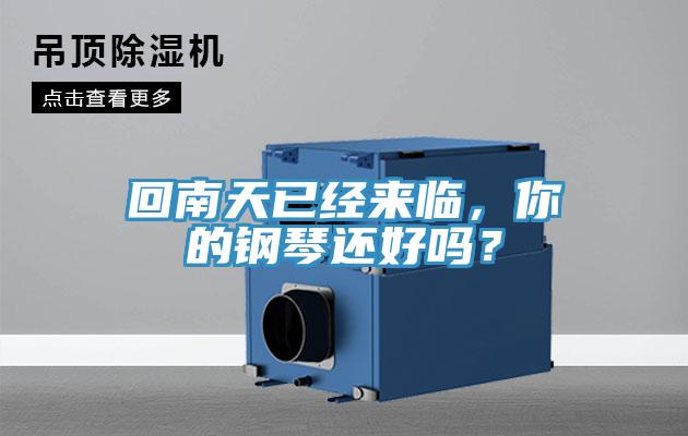 回南天已經(jīng)來臨，你的鋼琴還好嗎？