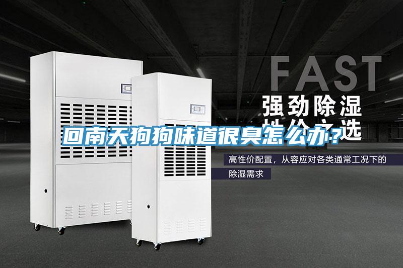 回南天狗狗味道很臭怎么辦？