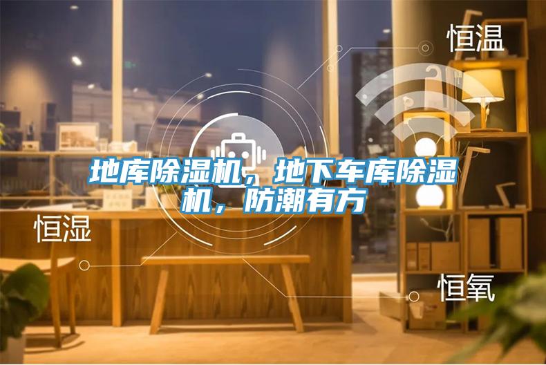地庫除濕機(jī)，地下車庫除濕機(jī)，防潮有方