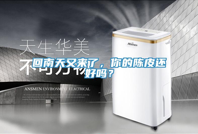 回南天又來(lái)了，你的陳皮還好嗎？