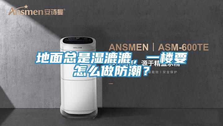 地面總是濕漉漉，一樓要怎么做防潮？