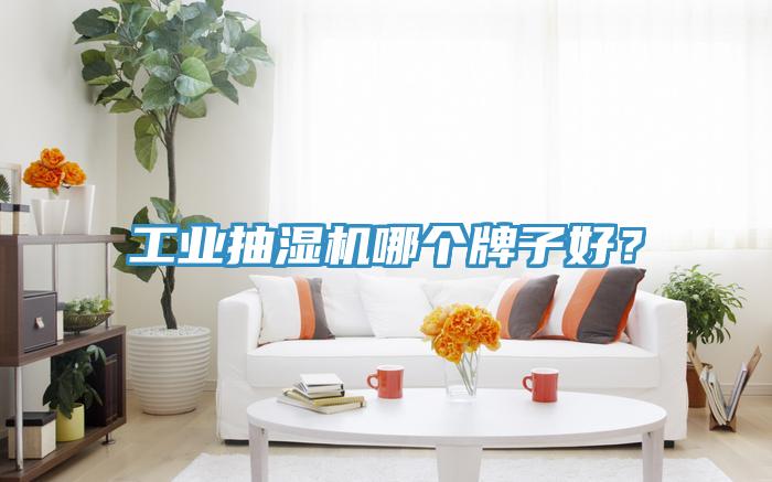 工業(yè)抽濕機(jī)哪個牌子好？