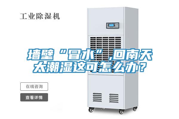 墻壁“冒水”,回南天太潮濕這可怎么辦？