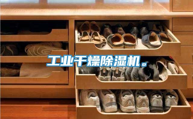 工業(yè)干燥除濕機(jī)。