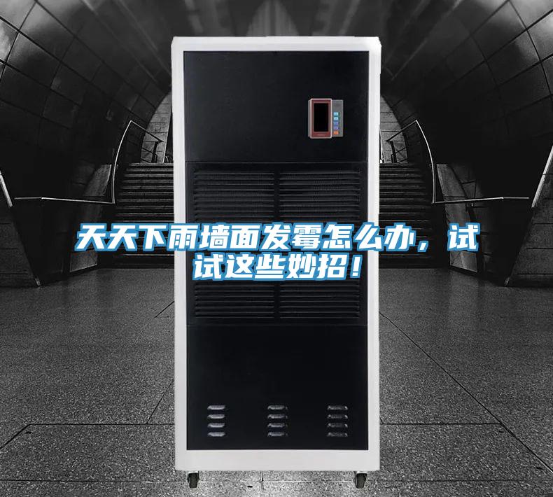 天天下雨墻面發(fā)霉怎么辦，試試這些妙招！