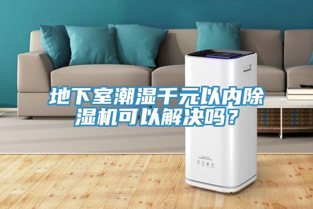 地下室潮濕千元以內除濕機可以解決嗎？