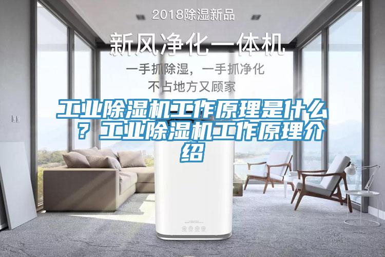 工業(yè)除濕機(jī)工作原理是什么 ？工業(yè)除濕機(jī)工作原理介紹