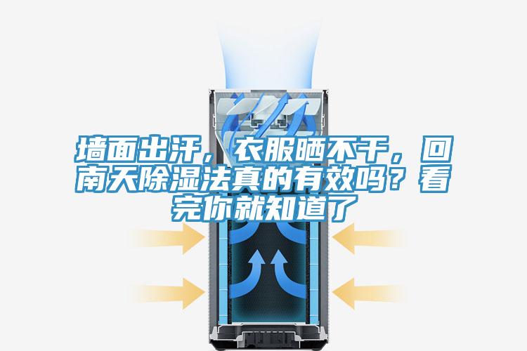 墻面出汗，衣服曬不干，回南天除濕法真的有效嗎？看完你就知道了