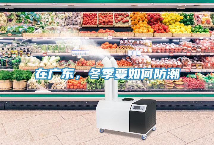 在廣東，冬季要如何防潮