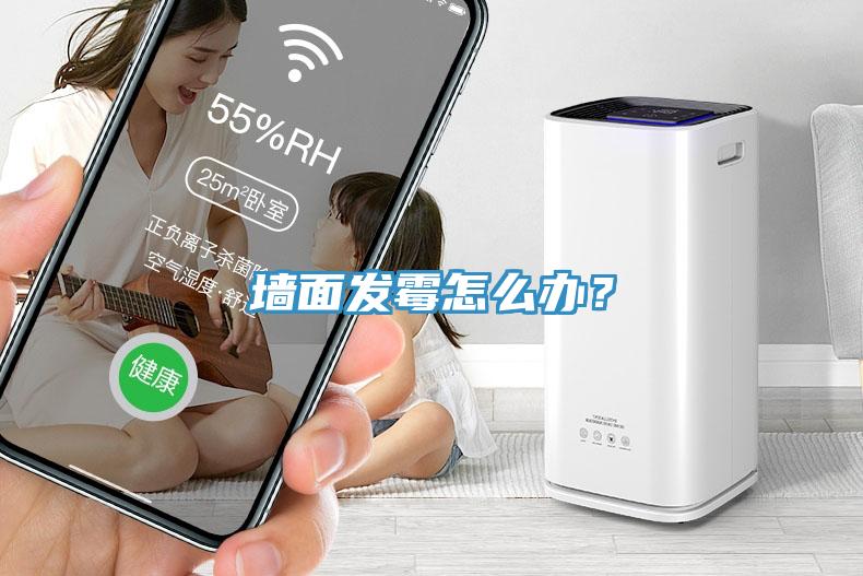 墻面發(fā)霉怎么辦？