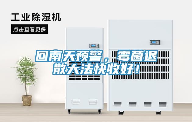 回南天預(yù)警，霉菌退散大法快收好！