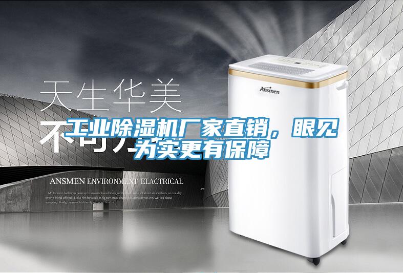工業(yè)除濕機廠家直銷，眼見為實更有保障