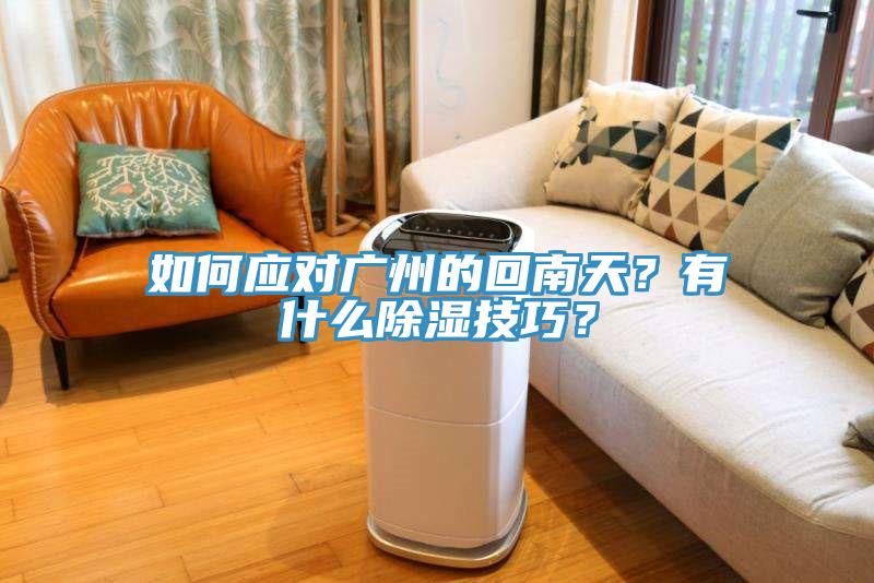 如何應(yīng)對廣州的回南天？有什么除濕技巧？