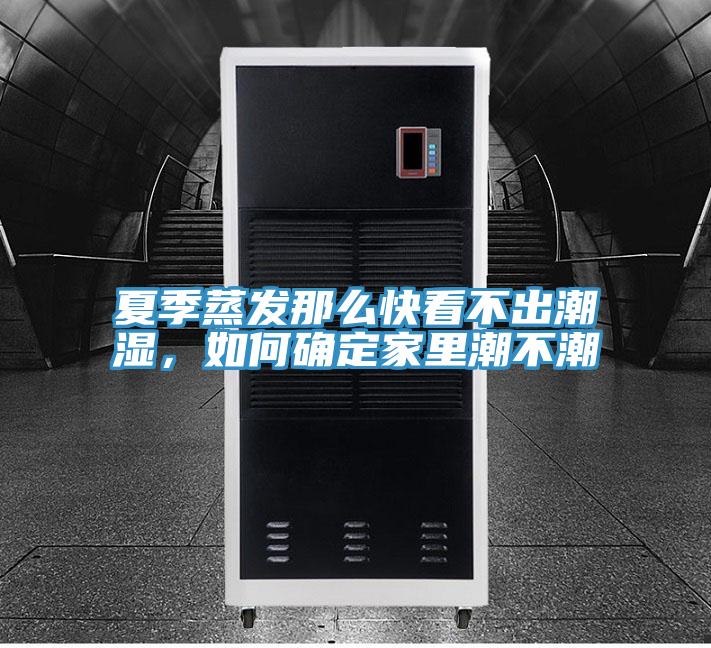 夏季蒸發(fā)那么快看不出潮濕，如何確定家里潮不潮