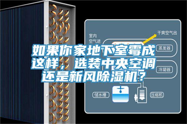 如果你家地下室霉成這樣，選裝中央空調(diào)還是新風(fēng)除濕機(jī)？