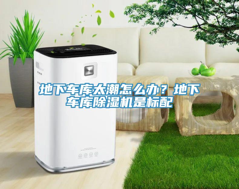 地下車庫太潮怎么辦？地下車庫除濕機是標(biāo)配