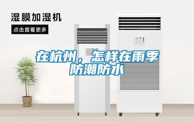 在杭州，怎樣在雨季防潮防水