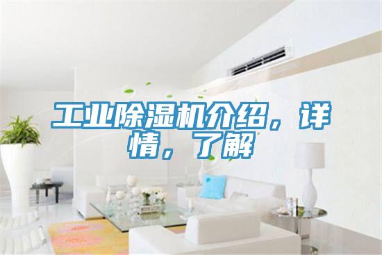 工業(yè)除濕機介紹，詳情，了解