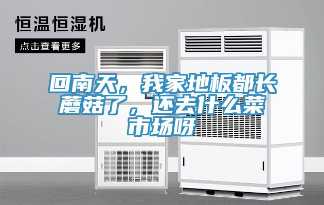 回南天，我家地板都長蘑菇了，還去什么菜市場呀