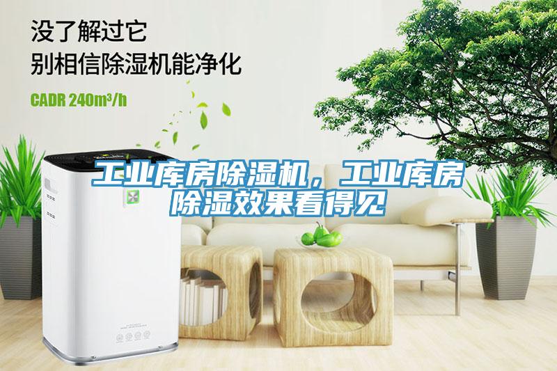 工業(yè)庫房除濕機(jī)，工業(yè)庫房除濕效果看得見