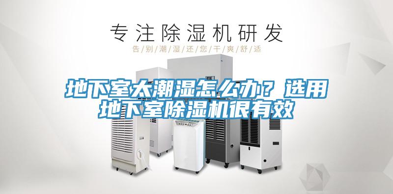 地下室太潮濕怎么辦？選用地下室除濕機很有效