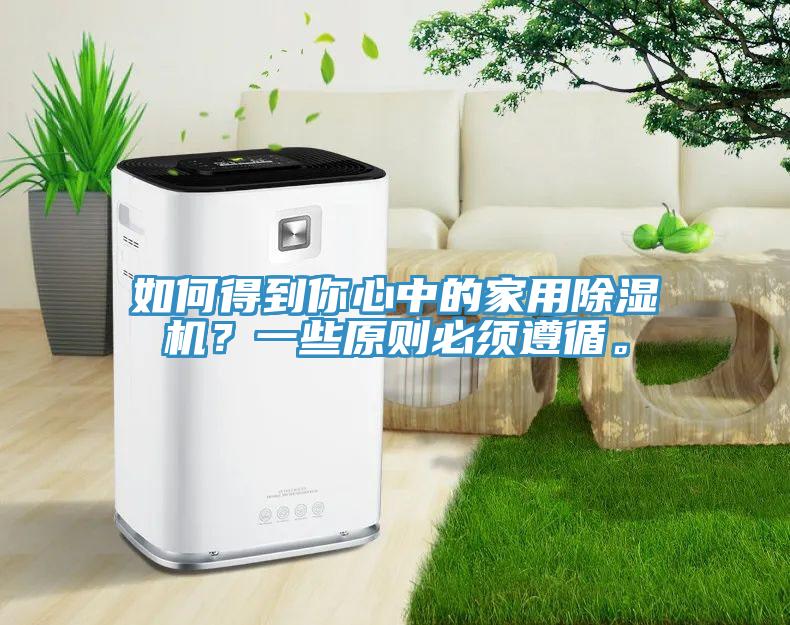 如何得到你心中的家用除濕機？一些原則必須遵循。