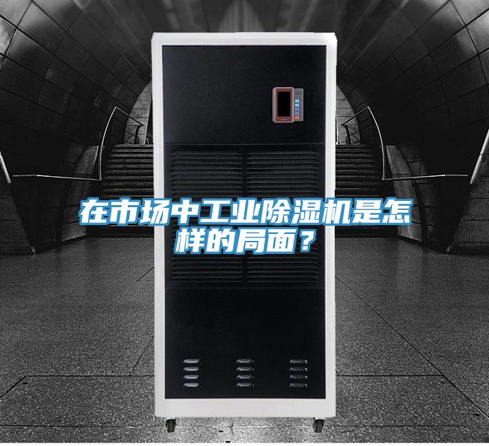 在市場(chǎng)中工業(yè)除濕機(jī)是怎樣的局面？