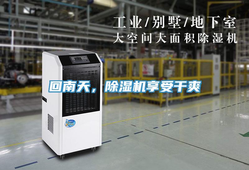 回南天，除濕機享受干爽