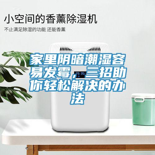 家里陰暗潮濕容易發(fā)霉，三招助你輕松解決的辦法