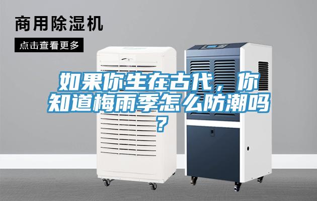 如果你生在古代，你知道梅雨季怎么防潮嗎？
