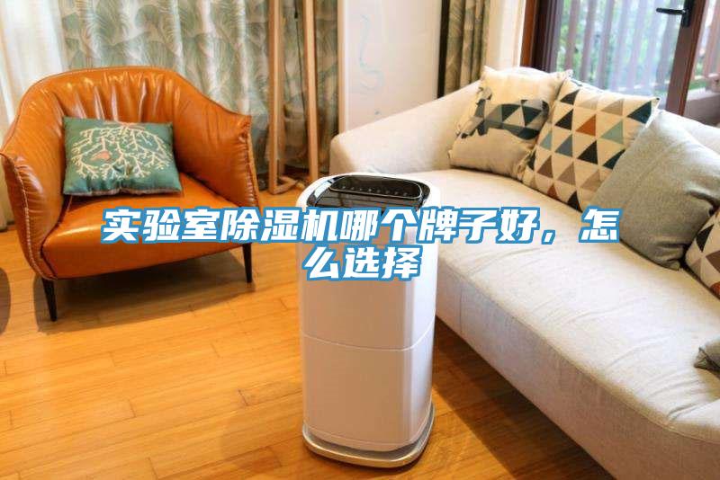 實(shí)驗(yàn)室除濕機(jī)哪個(gè)牌子好，怎么選擇