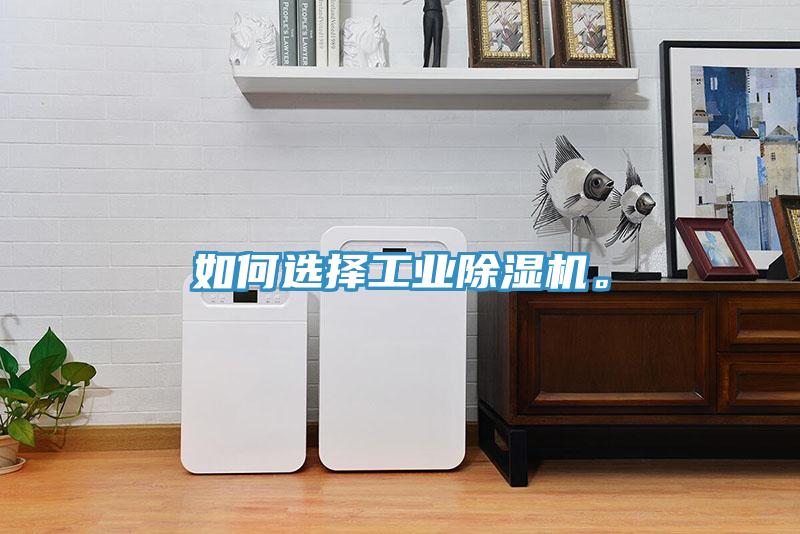 如何選擇工業(yè)除濕機(jī)。