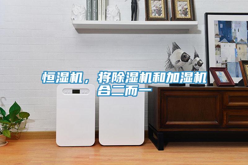 恒濕機(jī)，將除濕機(jī)和加濕機(jī)合二而一