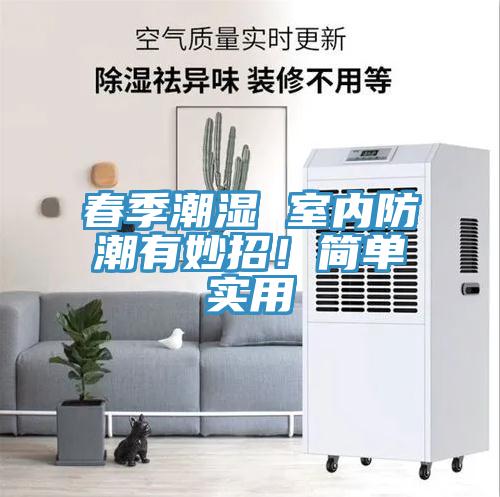 春季潮濕 室內(nèi)防潮有妙招！簡單實(shí)用