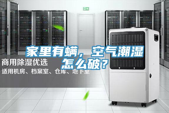 家里有螨，空氣潮濕怎么破？